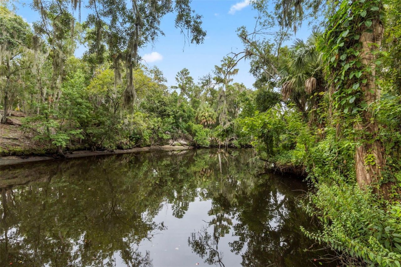 8312 Revels Road , Riverview, FL 33569 Photo