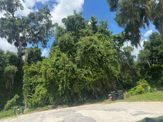 4700 SW 36th Street, Ocala, FL 34474 Photo