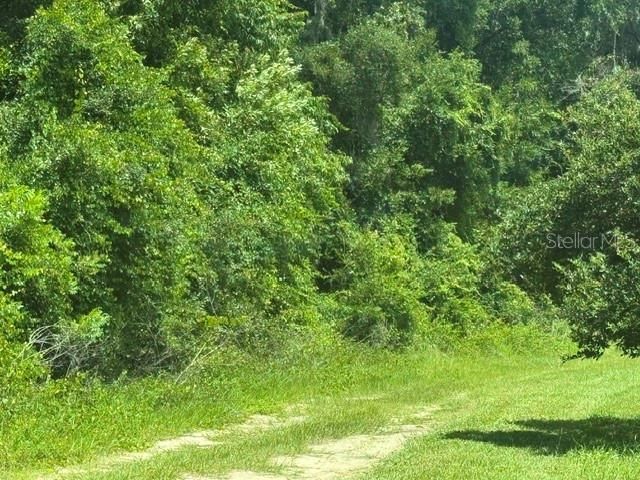 4700 SW 36th Street, Ocala, FL 34474 Photo