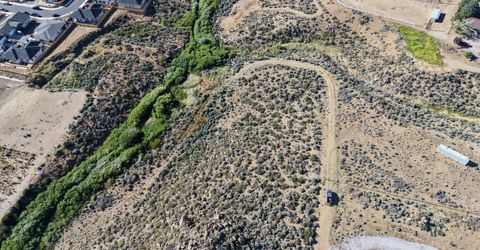 0 Cactus View Drive, Golden Valley, NV 89506 Photo