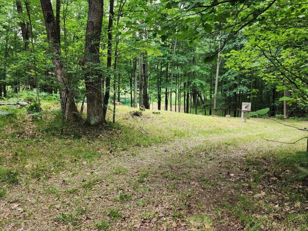1631 Laurel Lane, Farwell, MI 48622