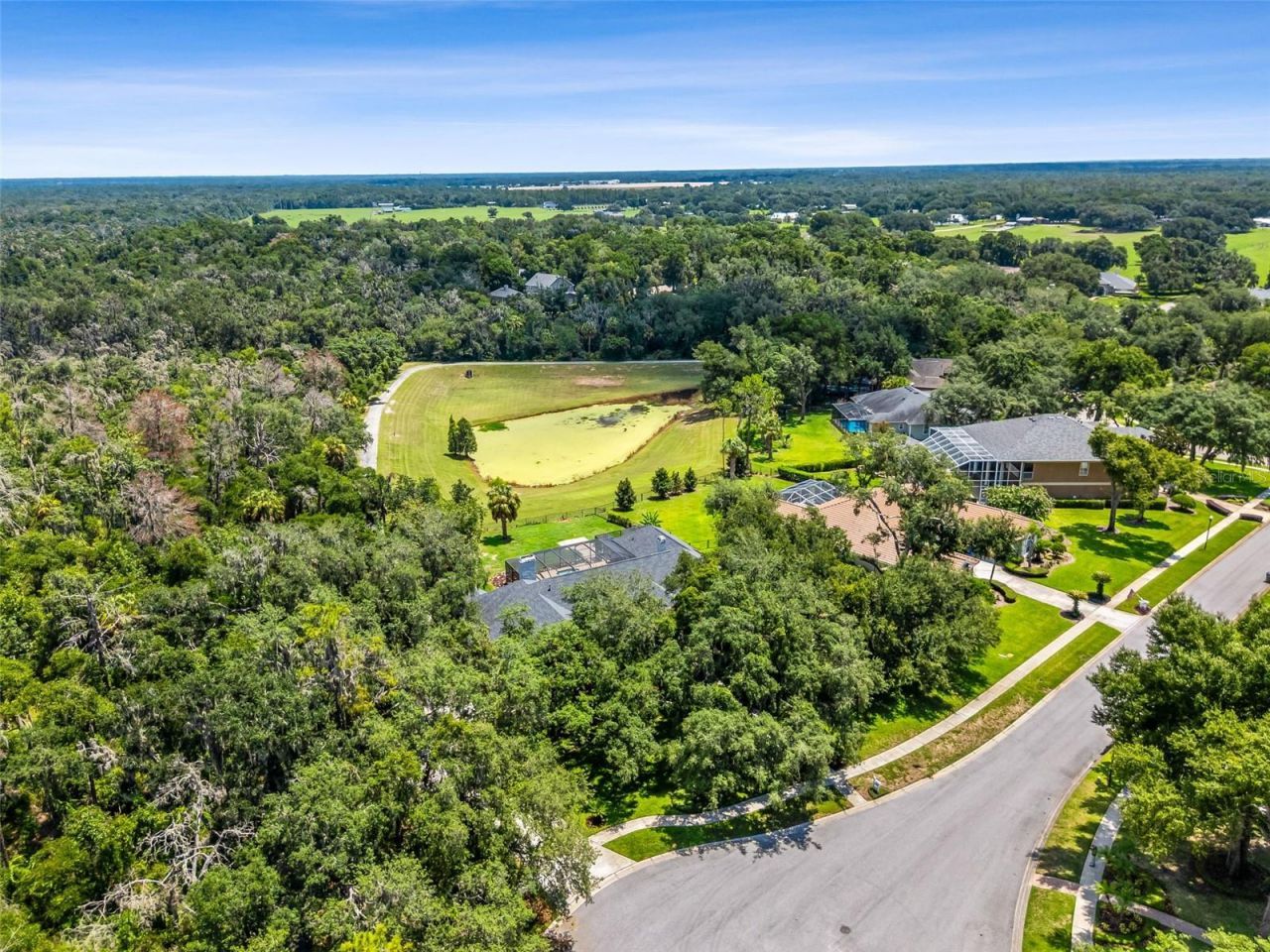 5804 Thoreau Place, Lithia, FL 33547 Photo
