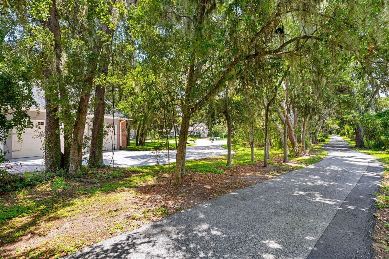 5804 Thoreau Place, Lithia, FL 33547 Photo
