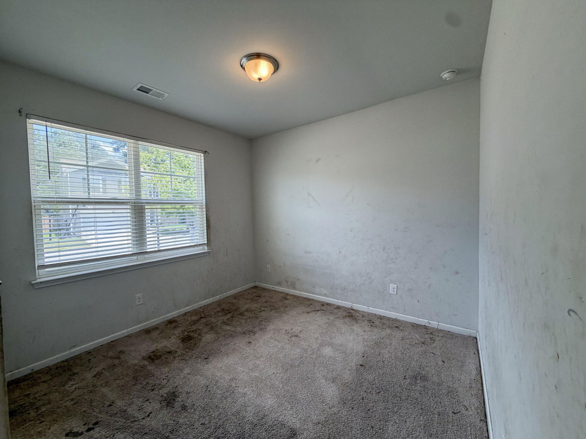 4990 Paddy Field Way Photo 5