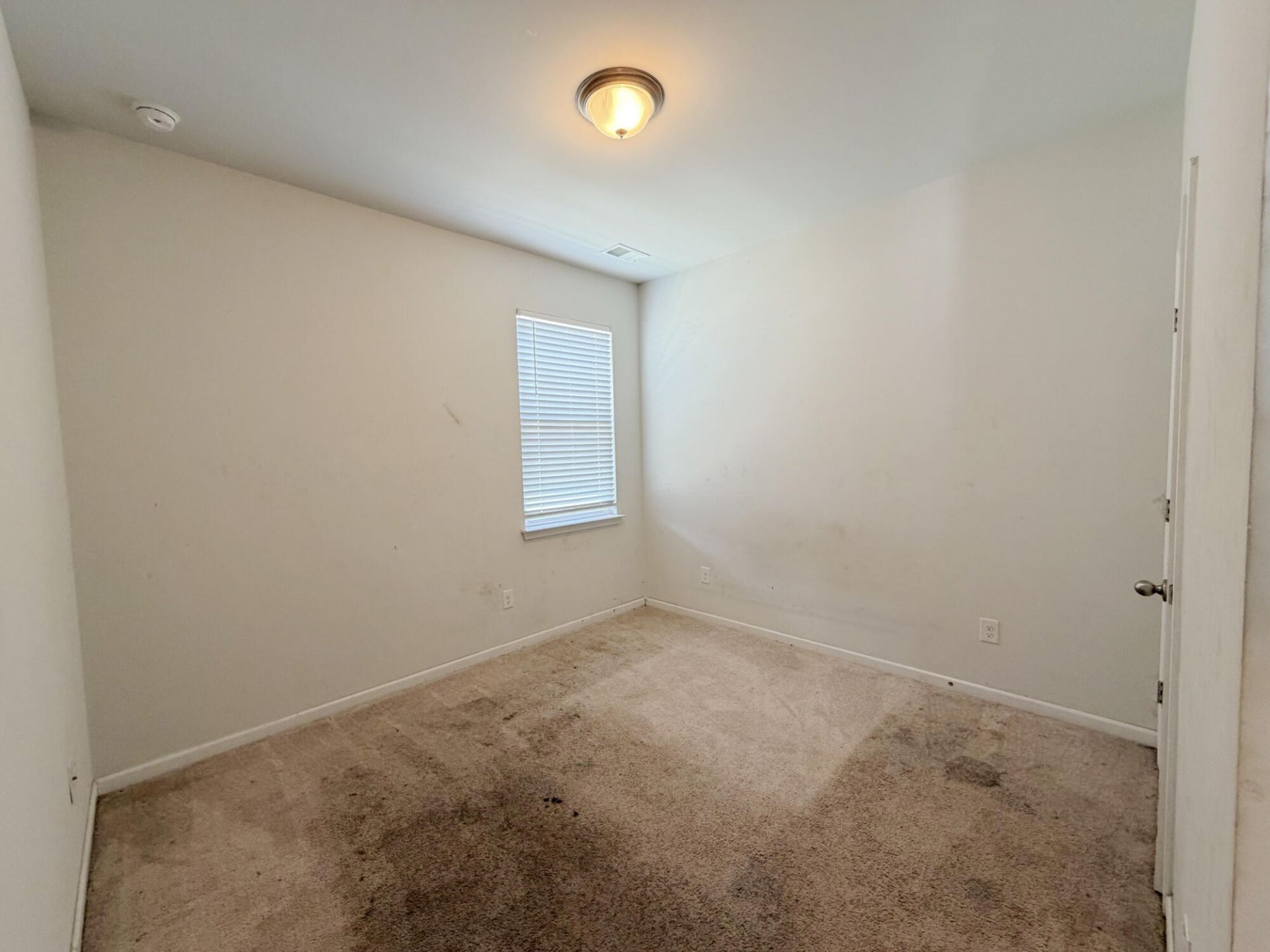 4990 Paddy Field Way Photo 6