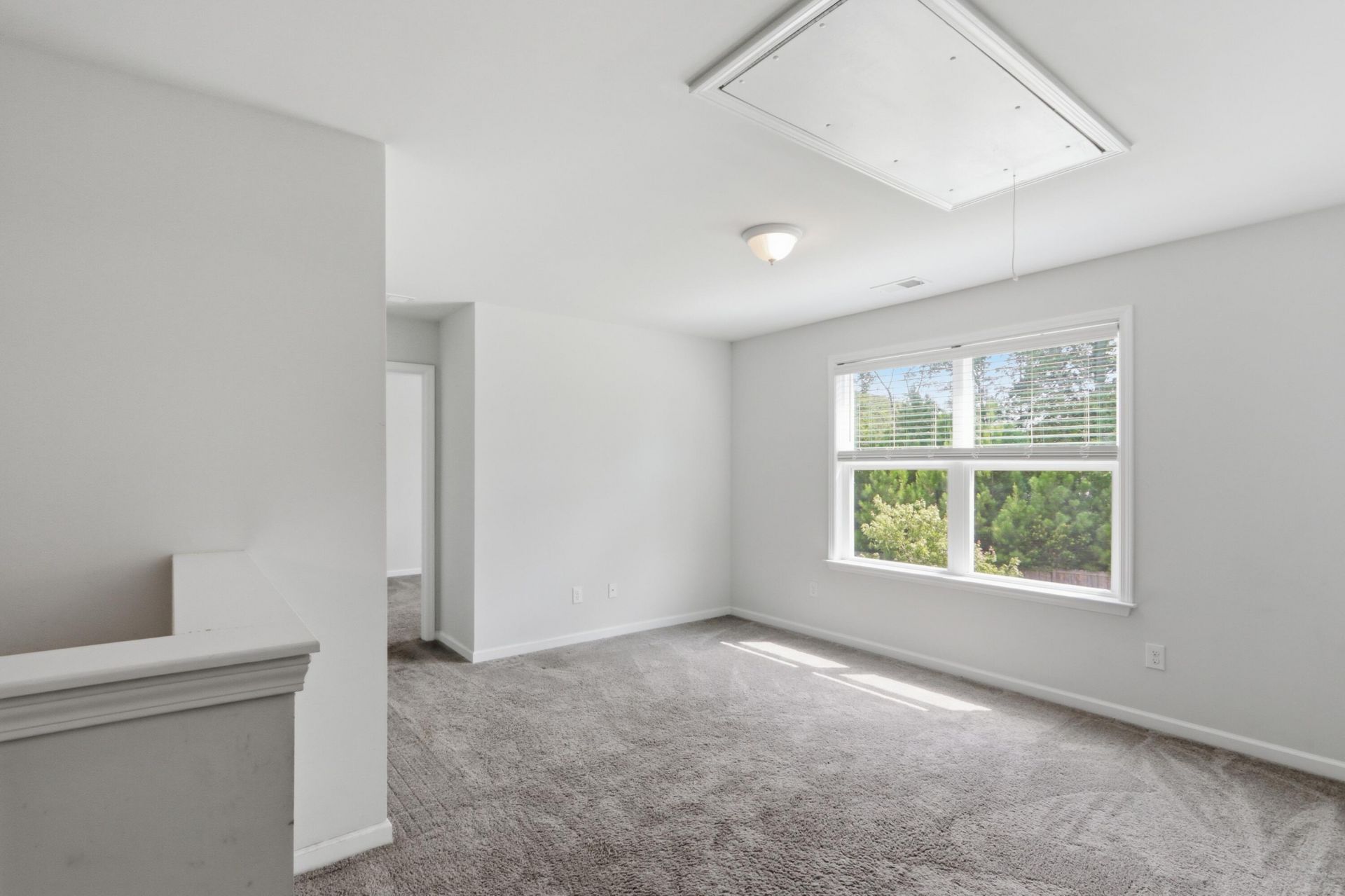 165 Clydesdale Circle Photo 19