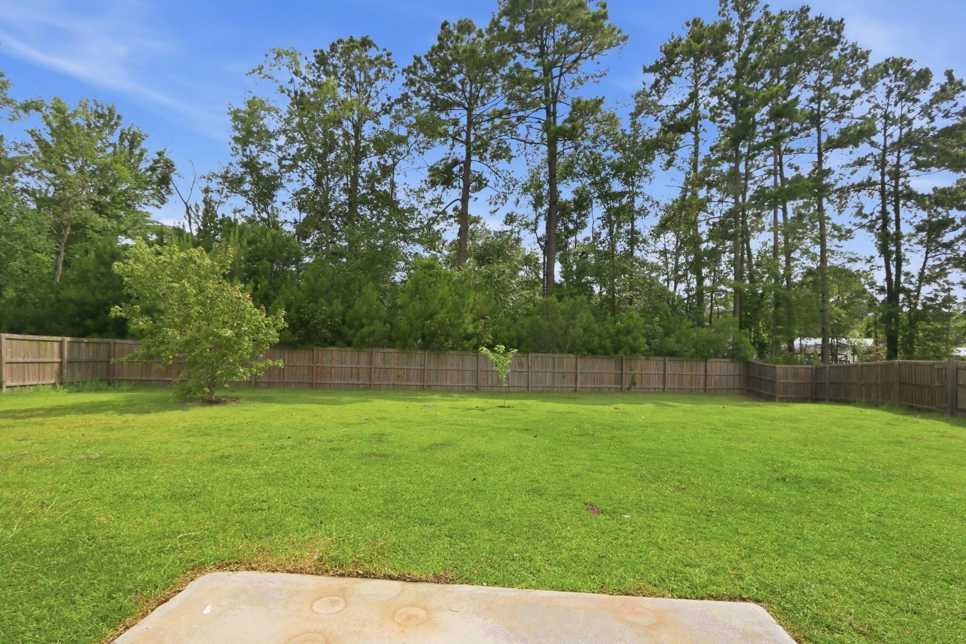 165 Clydesdale Circle Photo 5