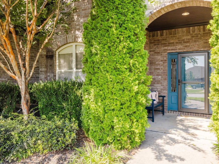 Property Image 4