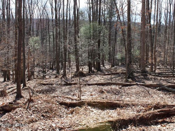 SQUIRREL Lane, Shickshinny, PA 18655
