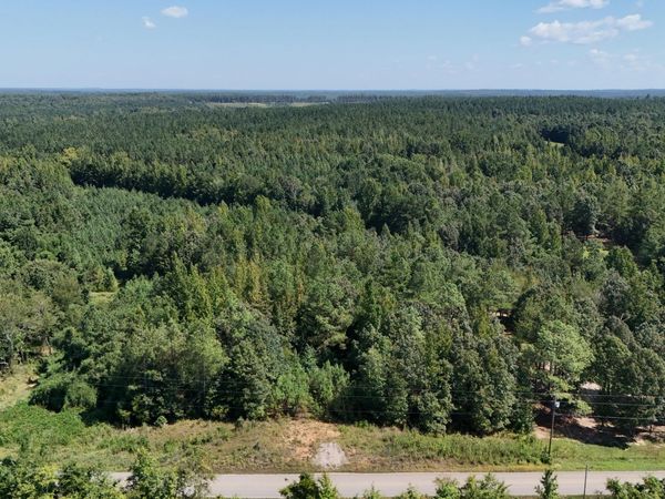 1258 Otis Paine Road , Bethel Springs, TN 38315