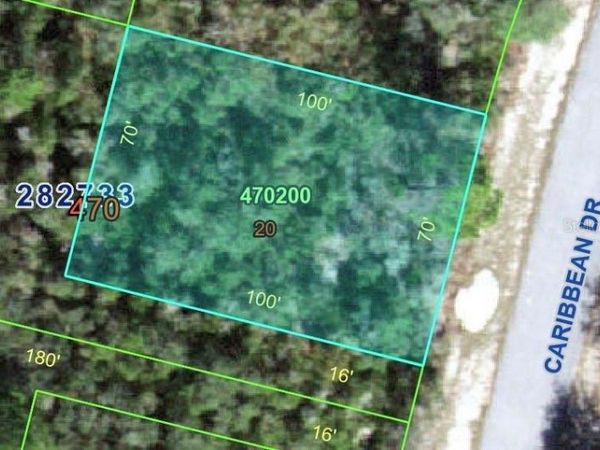 1250 CARIBBEAN DRIVE , KISSIMMEE, FL 34759