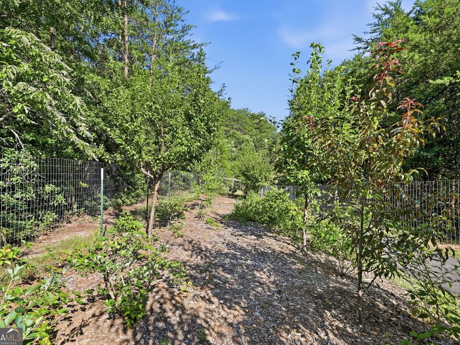Property Image 67