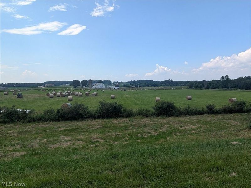 12720 Columbiana Canfield Road, Columbiana, OH 44408 Photo 11