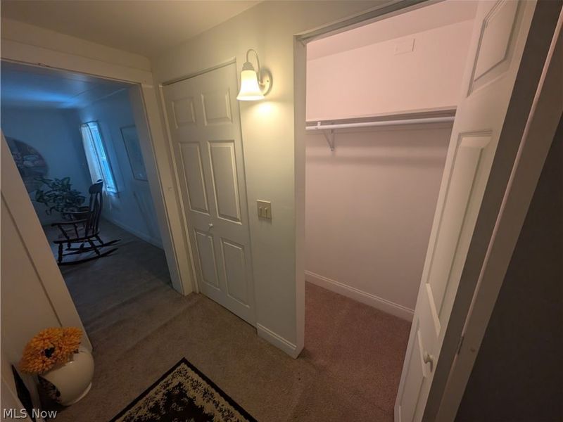 12720 Columbiana Canfield Road, Columbiana, OH 44408 Photo 37