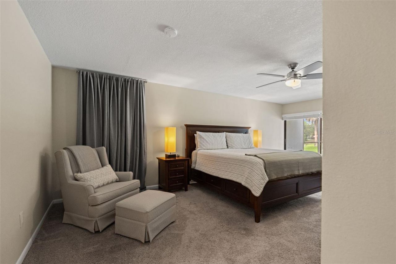 13916 Middle Park Drive, Tampa, FL 33624 Photo