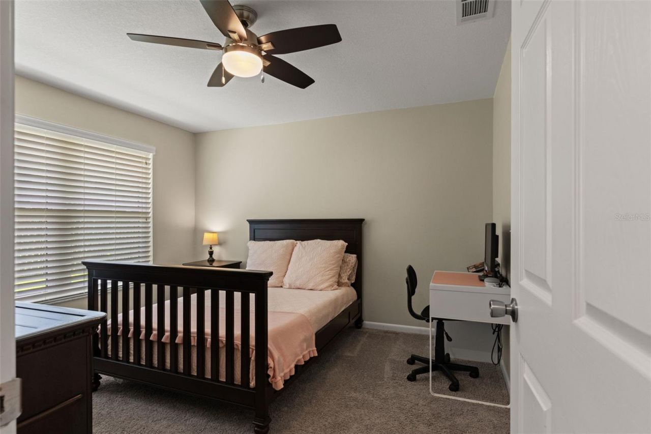 13916 Middle Park Drive, Tampa, FL 33624 Photo