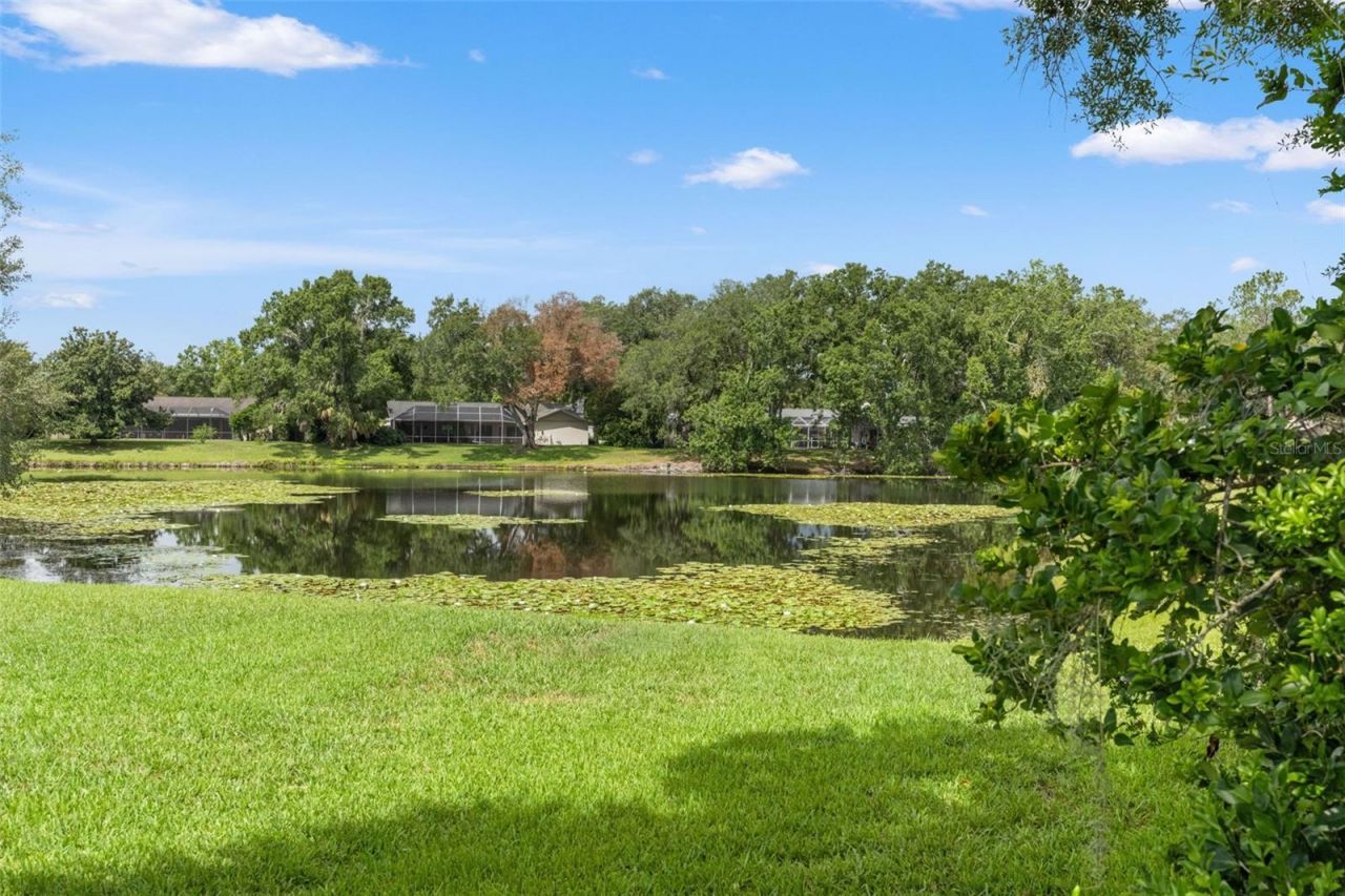 13916 Middle Park Drive, Tampa, FL 33624 Photo