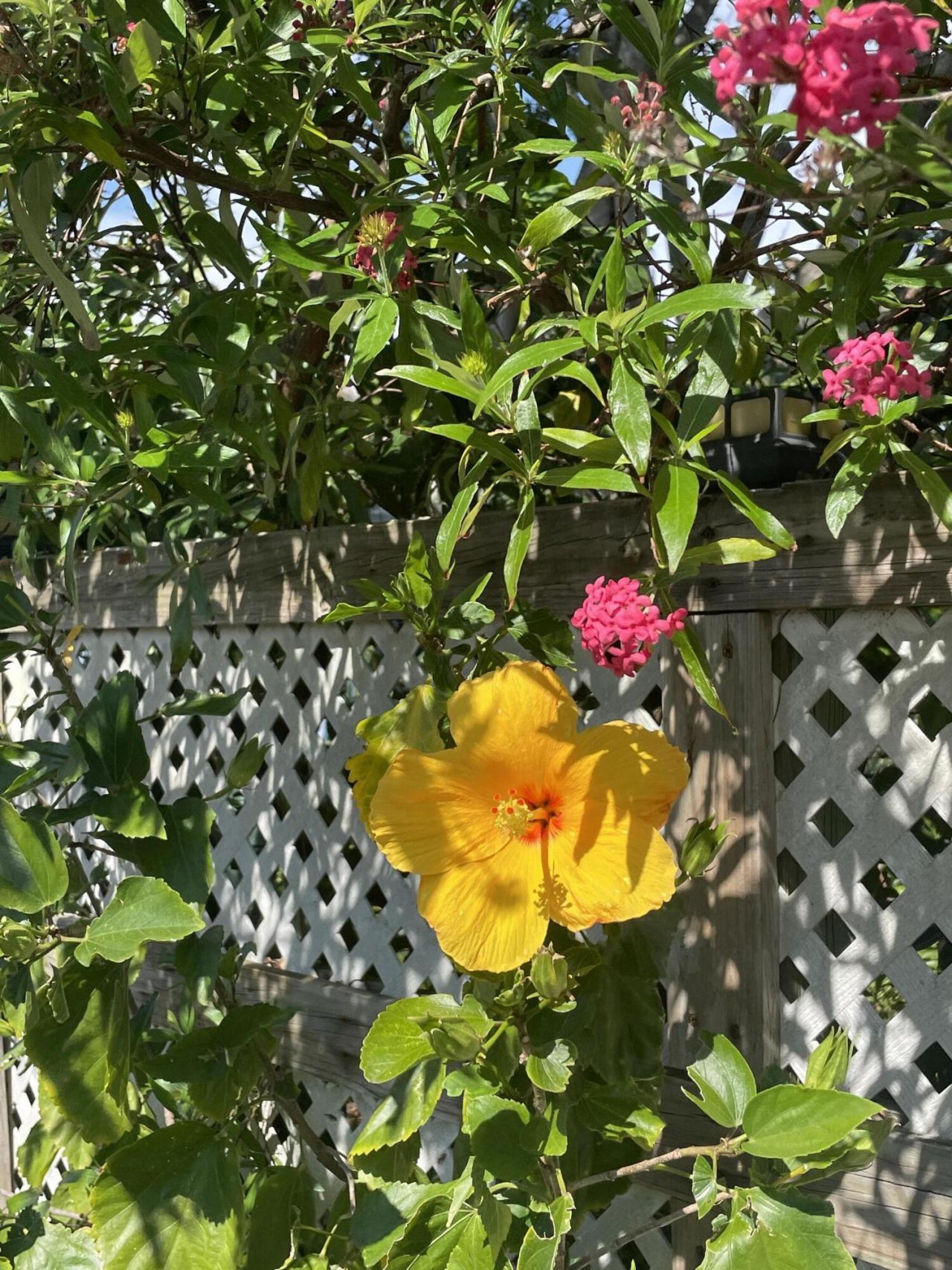 927 N L Street, Lake Worth Beach, FL 33460 Photo