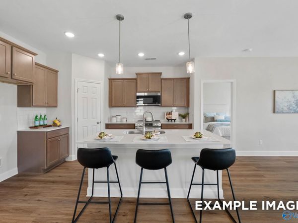 134 Bella May Lane, New Market, AL 35761