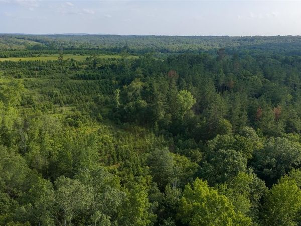 00 County Road 436 , Laneville, TX 75667