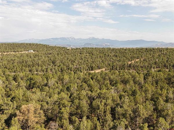 TBD CR 310, Ignacio, CO 81137