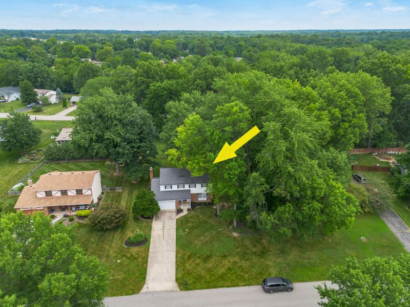 11466 Forest Lane Avenue, Pickerington, OH 43147 Photo 10