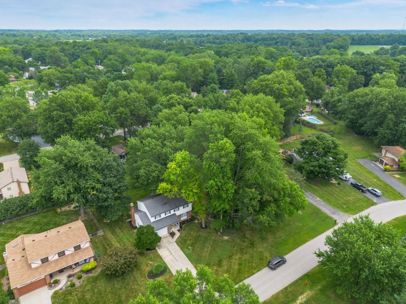 11466 Forest Lane Avenue, Pickerington, OH 43147 Photo 59