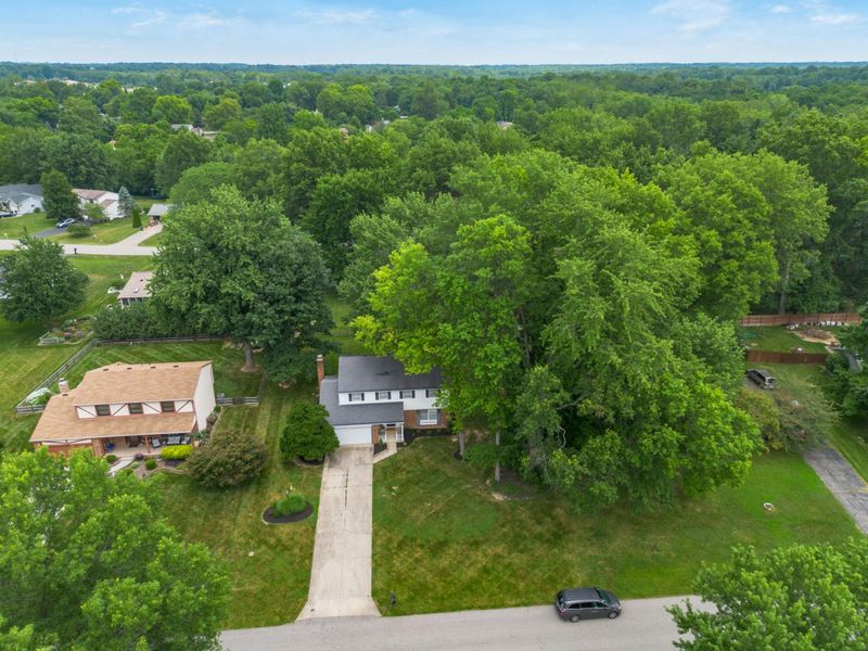 11466 Forest Lane Avenue, Pickerington, OH 43147 Photo 60