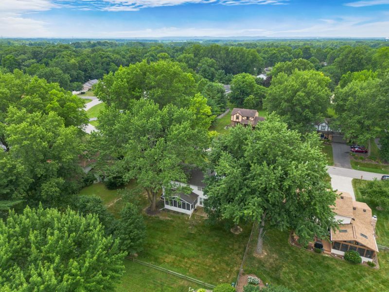 11466 Forest Lane Avenue, Pickerington, OH 43147 Photo 62