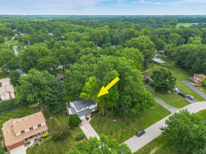 11466 Forest Lane Avenue, Pickerington, OH 43147 Photo 9