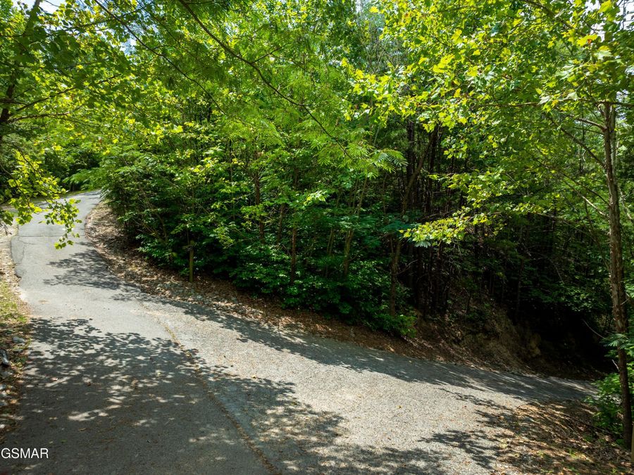 Property Image 103