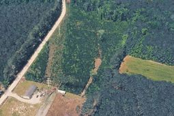 Tbd1 Old Forest Dr.  photo 4