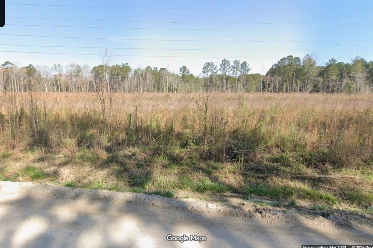 Tbd1 Old Forest Dr.  Photo 5