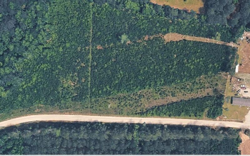 Tbd1 Old Forest Dr.  Photo 6