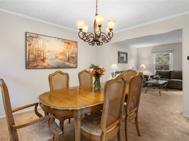 5082 Cheswick Drive, Solon, OH 44139 Photo 13