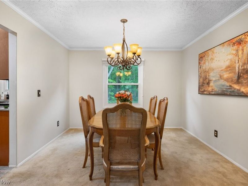 5082 Cheswick Drive, Solon, OH 44139 Photo 14