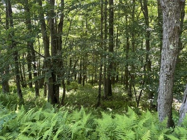 West Highland Road , Stamford, NY 12167