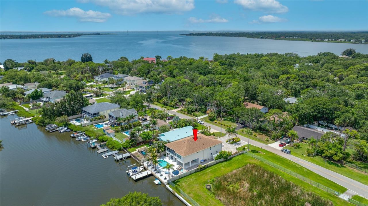 3138 Phoenix Avenue, Oldsmar, FL 34677 Photo