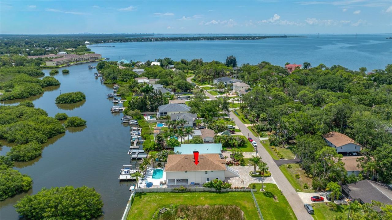 3138 Phoenix Avenue, Oldsmar, FL 34677 Photo