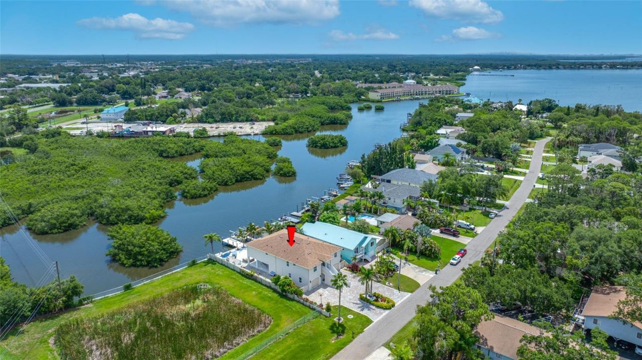3138 Phoenix Avenue, Oldsmar, FL 34677 Photo
