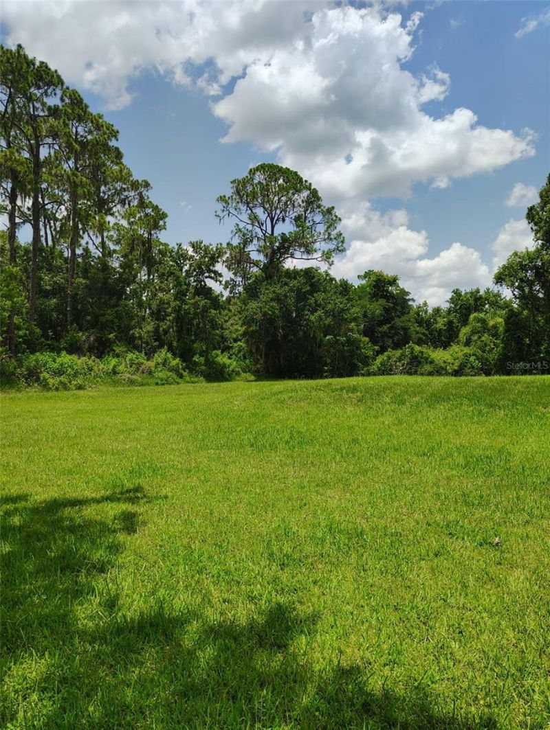 3226 Wheeler Court , Dover, FL 33527 Photo