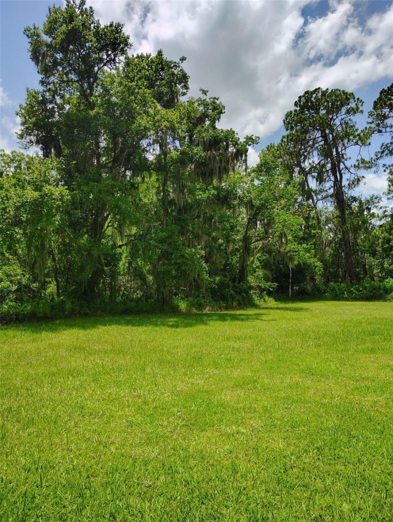 3226 Wheeler Court , Dover, FL 33527 Photo