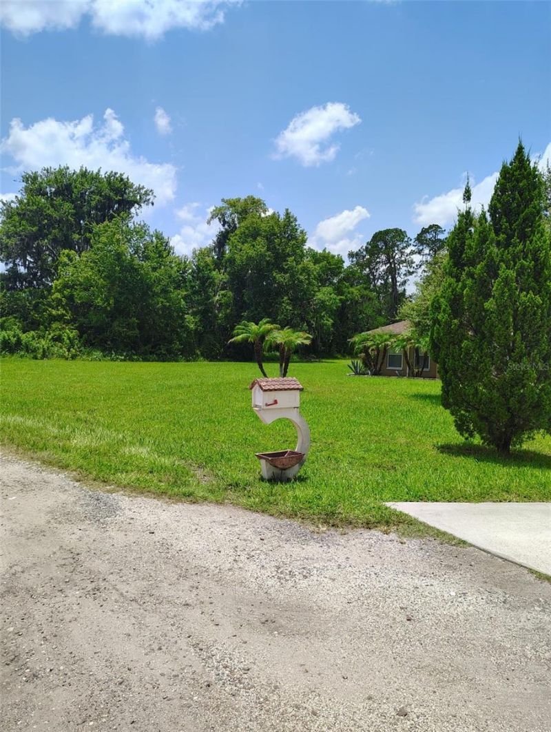 3226 Wheeler Court , Dover, FL 33527 Photo
