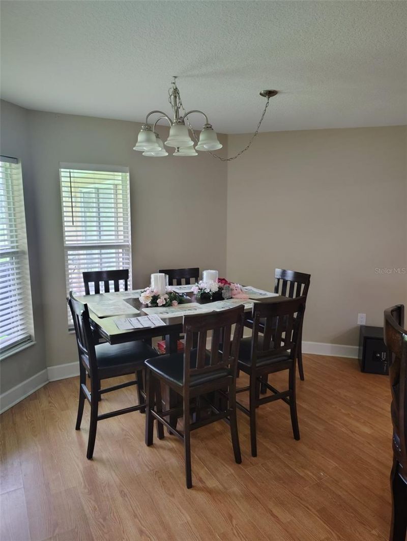 3226 Wheeler Court , Dover, FL 33527 Photo