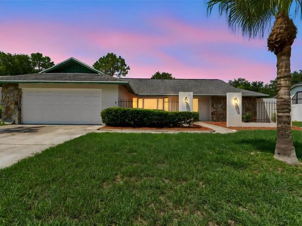 9237 PEBBLE CREEK DRIVE , TAMPA, FL 33647