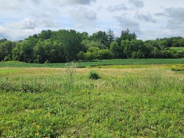 1042 3rd Street, Wanamingo, MN 55983