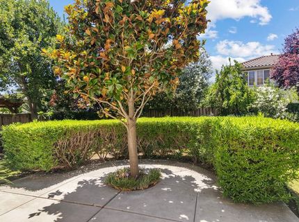 15939 Crescent Park Cir, Lathrop, CA 95330 Photo