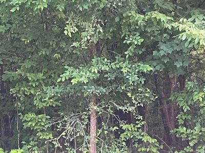 11 Otter Trail Court, Columbia, SC 29203