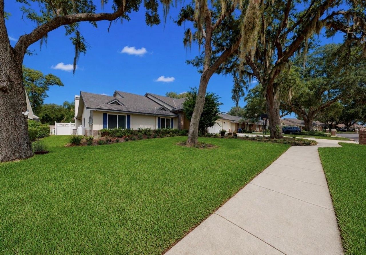 2517 Mason Oaks Drive, Valrico, FL 33596 Photo