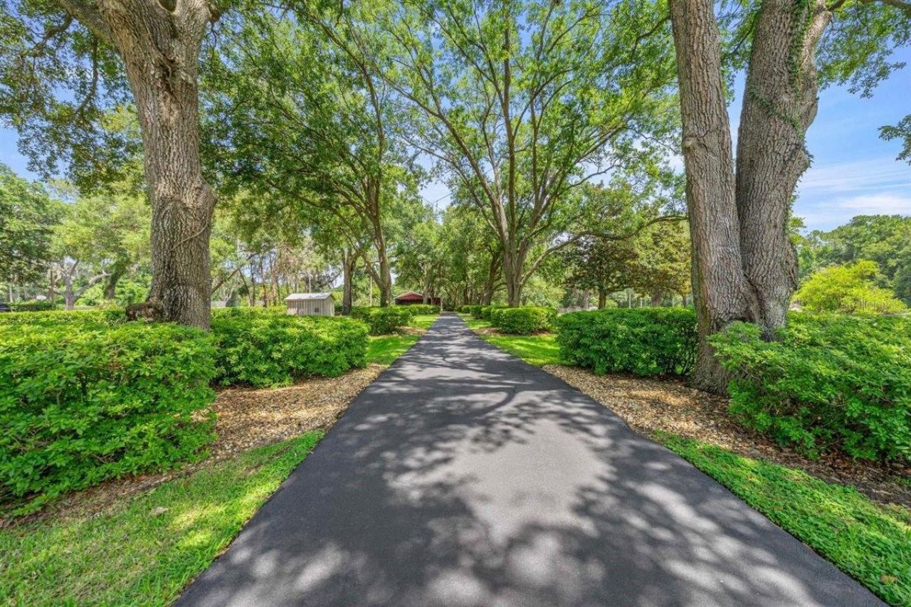 11940 SE 128th Place Road, Ocklawaha, FL 32179 Photo